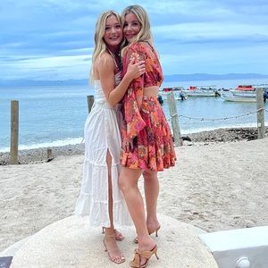 ALC Izzy Fit and Flair dress